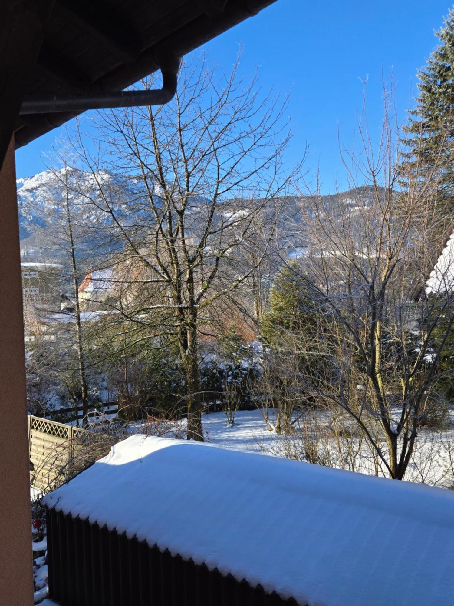 バート・ゴイーザーンAlpenblumalアパートメント エクステリア 写真